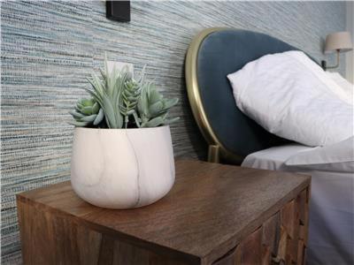 Chapel - Roof Garden!perfect For Your Family Holiday home Bath